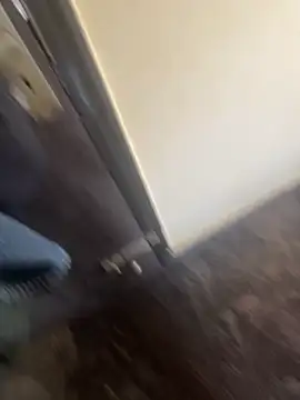 cookie-n-cream online show from December 15, 7:05 am