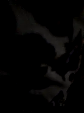 UnhopedDear online show from March 14, 5:20 pm