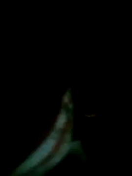 Msoon001 online show from September 25, 1:04 am