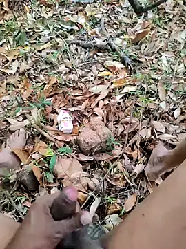 Snapshot of DICKLANKA chatting on October 11, 7:23 am DICKLANKA online show from October 11, 7:23 am