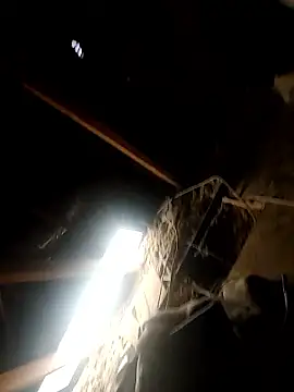 jay702lv702 online show from March 9, 8:47 pm