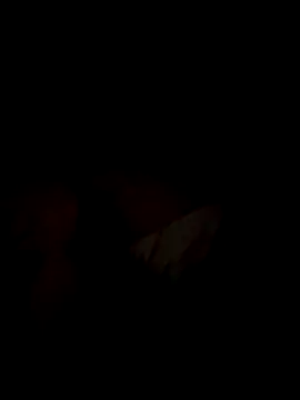 Hombredemar42 online show from November 18, 5:00 am