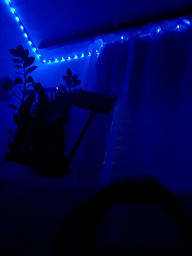 Taylor Sex6 online show from February 12, 8:20 am