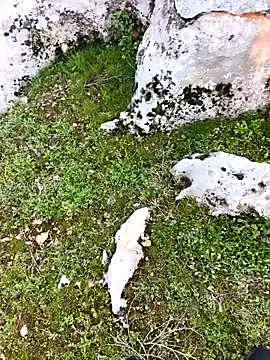 Sert erkek21 ysm online show from April 3, 1:41 pm