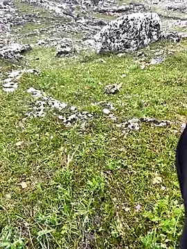 Sert erkek21 ysm online show from March 29, 12:16 pm