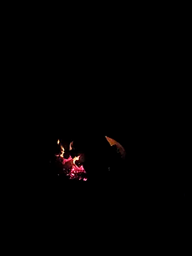 Floridaboy863 online show from February 5, 3:35 am