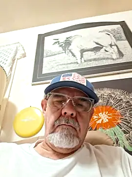 pena633 online show from November 27, 2:04 am