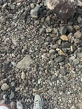 Rico1 1 online show from November 26, 4:21 pm