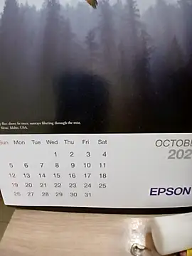 Kolkatacock06 online show from October 24, 1:57 pm