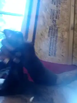 TGLZaddy online show from November 30, 1:46 pm