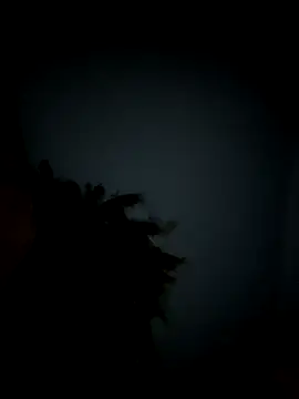 youngbull dada online show from December 2, 6:38 am