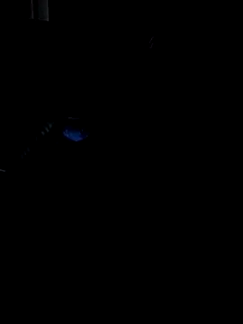 Darkkknet online show from November 9, 10:36 pm