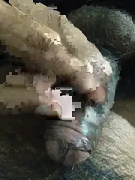 its  aaru online show from November 8, 3:26 pm