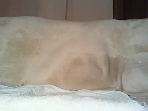 Cumlover5534 online show from March 2, 9:38 am