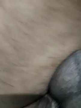 LEOMEGHA2026 online show from November 19, 4:51 pm