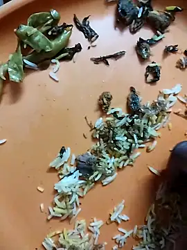 hyderabad single online show from March 21, 5:50 pm