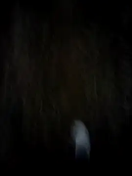 itsme chappie online show from February 19, 12:56 pm