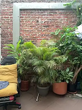 Mike savage3 online show from November 27, 12:42 pm