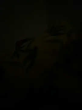 juiammeju online show from March 4, 11:23 pm