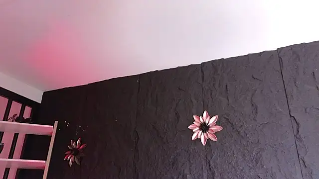 Paulo 527 online show from February 2, 9:12 pm