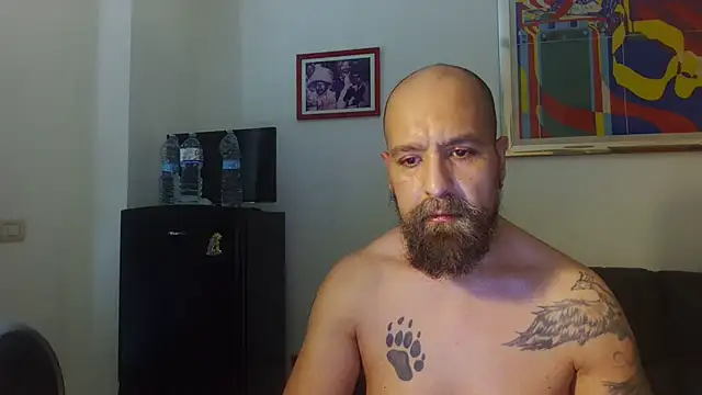 AMIRDIB2025 online show from July 4, 1:58 pm