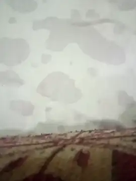 HKOOOH80 online show from March 19, 9:40 pm