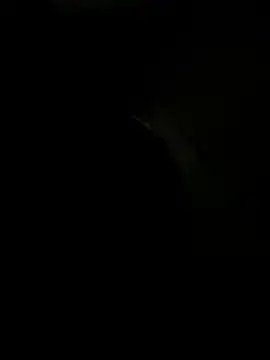 sexonli online show from January 16, 3:31 am