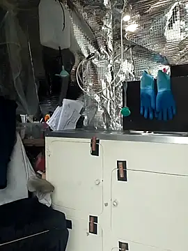 Quebec46 online show from April 13, 11:55 am