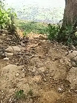 Sheela Sex90 online show from April 17, 5:32 am