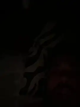 paco199923 online show from February 4, 9:15 am