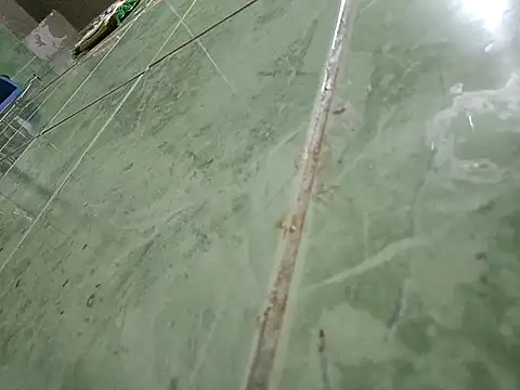 paladito01 online show from February 7, 12:29 am