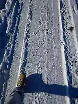 Erz84 online show from February 19, 12:25 am