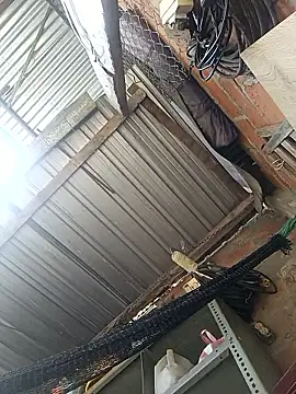 cielo420 online show from January 7, 4:12 pm