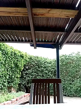 dicklife3485 online show from February 4, 8:31 am