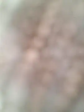 allenyalana online show from February 24, 3:57 pm