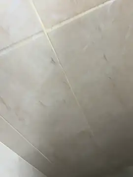 Arleymounthblack online show from April 4, 2:08 am