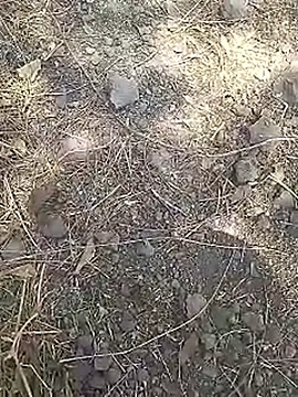 Cute Boy 4 online show from March 15, 8:11 am