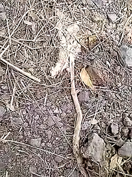 Cute Boy 4 online show from April 7, 7:30 am