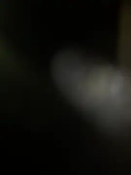 michaarMichaels online show from August 10, 6:41 am