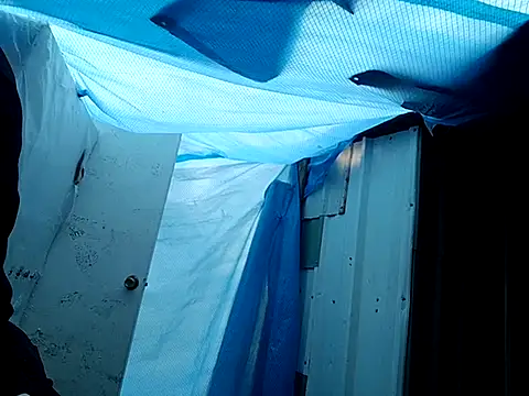 bigbooietx online show from February 26, 2:07 pm