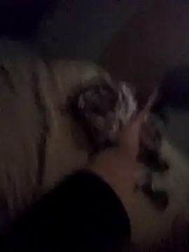 Snapshot of zacariastesao22 chatting on February 7, 5:03 am zacariastesao22 online show from February 7, 5:03 am