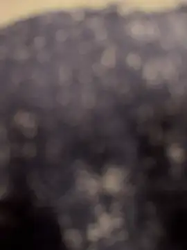 Enzo 2763 online show from February 2, 5:21 pm