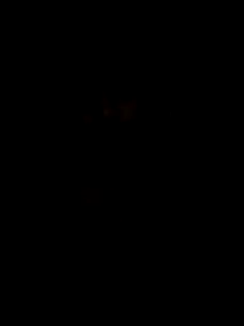 Mee   Telugu  abbayi online show from February 22, 6:37 am