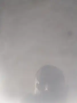 cobrosdepagos online show from March 19, 7:00 am