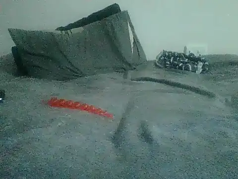 DannyLeei online show from March 26, 5:17 pm