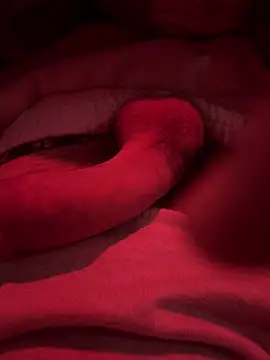 689Nika online show from March 3, 7:05 am