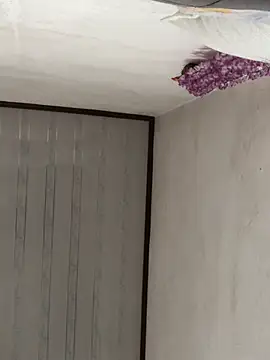 yaocaobi8 online show from March 15, 8:55 am