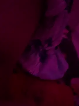 Daddyfuck 01 online show from March 19, 6:55 pm