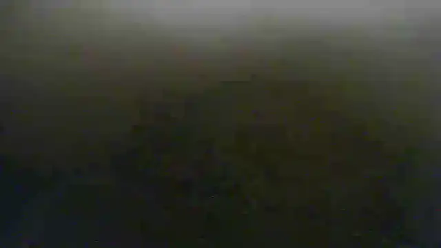 steven mar43684 online show from May 28, 9:29 am