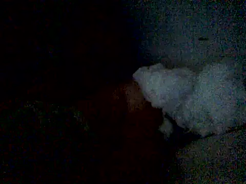 anthony44brazil online show from April 25, 5:21 pm